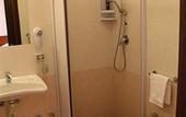 Туры в отель Hotel Alessander
