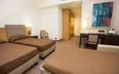 Туры в отель Ariha Hotel Cosenza