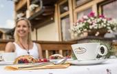 Туры в отель Hotel Steger-Dellai
