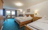 Туры в отель Hotel Steger-Dellai
