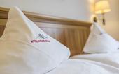 Туры в отель Hotel Steger-Dellai
