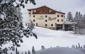 Туры в отель Hotel Steger-Dellai