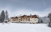Туры в отель Hotel Steger-Dellai