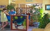 Туры в отель Hotel San Marco