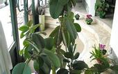 Туры в отель Albergo La Posta Arezzo