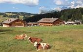 Туры в отель Tirler - Dolomites Living Hotel