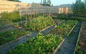 Туры в отель Borgo Ramezzana Country House