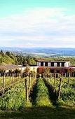 Туры в отель Castello di Fonterutoli Wine Resort