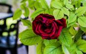 Туры в отель Hotel Villa Groff
