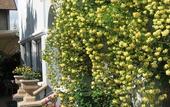 Туры в отель Hotel Villa Groff