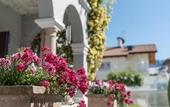 Туры в отель Hotel Villa Groff