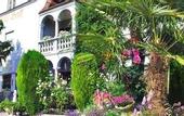 Туры в отель Hotel Villa Groff