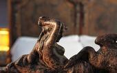 Туры в отель Casa D'aria