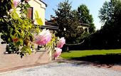 Туры в отель Casa Camilla