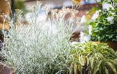 Туры в отель Botango