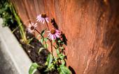 Туры в отель Botango