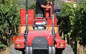 Туры в отель Agriturismo La Pietriccia