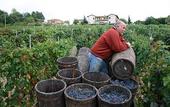 Туры в отель Agriturismo La Pietriccia