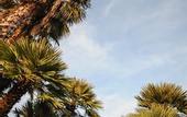 Туры в отель Hotel Tirreno