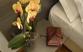 Туры в отель Hotel Tirreno