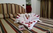 Туры в отель Hotel Tirreno