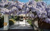Туры в отель Hotel Il Cecchini