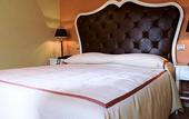 Туры в отель Hotel Asolo