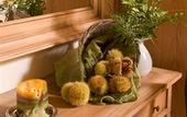 Туры в отель Hotel Asolo