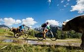 Туры в отель AMONTI Wellnessresort
