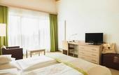 Туры в отель Hotel Schwarzschmied