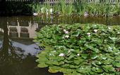 Туры в отель Romantik Hotel & Restaurant Stafler
