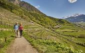Туры в отель Chalet Mirabell