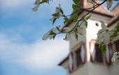 Туры в отель Castel Rundegg