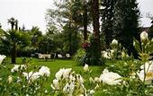Туры в отель Villa Bavaria