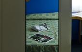 Туры в отель The Aries Hotel