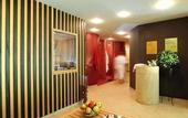 Туры в отель Hotel das stachelburg
