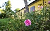 Туры в отель Podere del Germano Reale