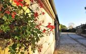 Туры в отель Podere del Germano Reale