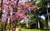 Туры в отель Hotel Terme Salvarola