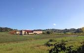 Туры в отель Hotel Terme Salvarola
