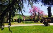 Туры в отель Hotel Terme Salvarola