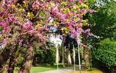 Туры в отель Hotel Terme Salvarola