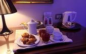 Туры в отель Hotel Terme Salvarola