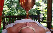 Туры в отель Hotel Terme Salvarola
