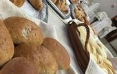 Туры в отель Hotel Terme Salvarola