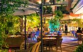 Туры в отель Hotel Continental - Tonelli Hotels
