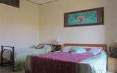 Туры в отель Hotel Eliseo