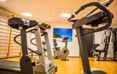 Туры в отель Hotel Glis