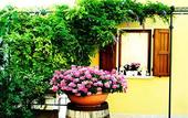 Туры в отель Hotel Caselle