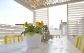 Туры в отель Albergo Diffuso Monopoli